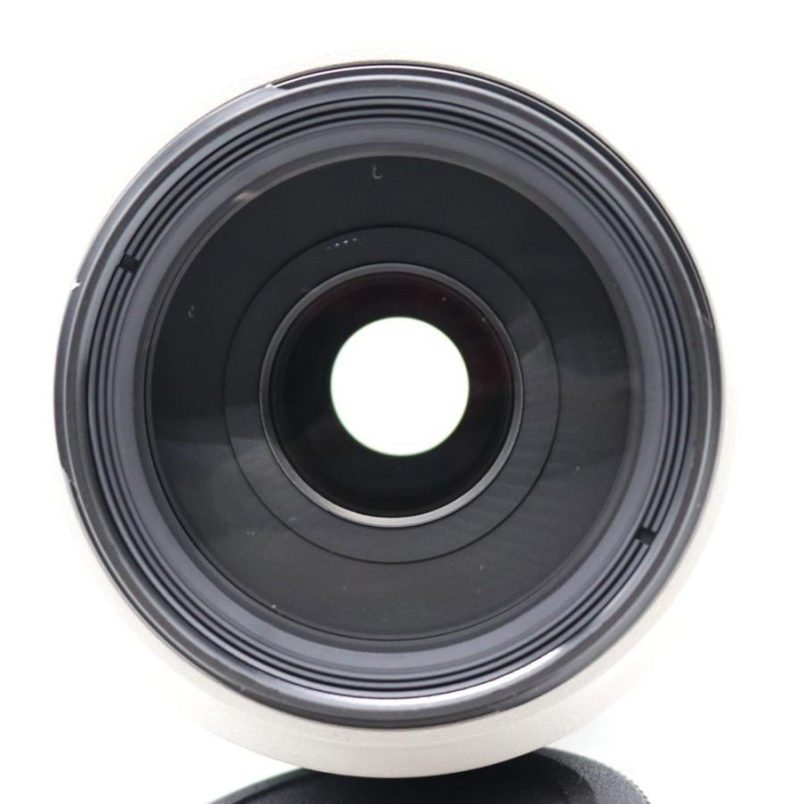 Canon EFレンズ EF70-300mm F4-5.6L IS USM ズームレンズ 望遠
