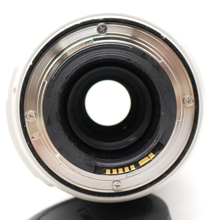 Canon EFレンズ EF70-300mm F4-5.6L IS USM ズームレンズ 望遠