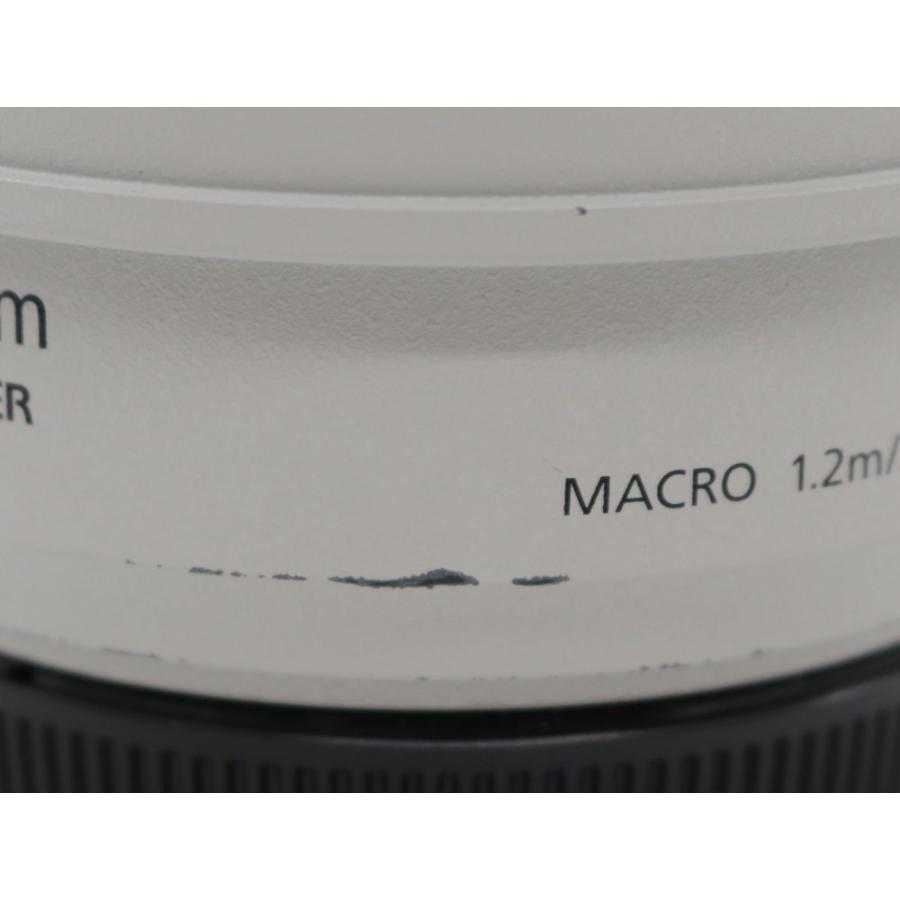 Canon EFレンズ EF70-300mm F4-5.6L IS USM ズームレンズ 望遠