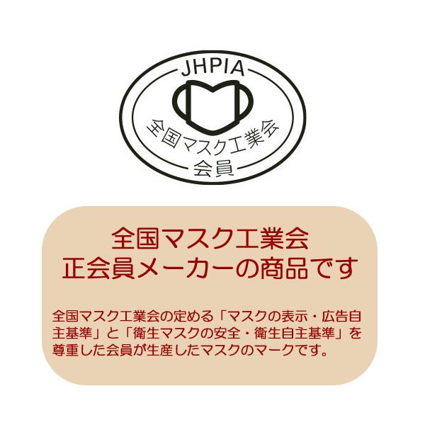 マスク 不織布 カラー 夏用 冷感 30枚入り 大人用 使い捨てマスク