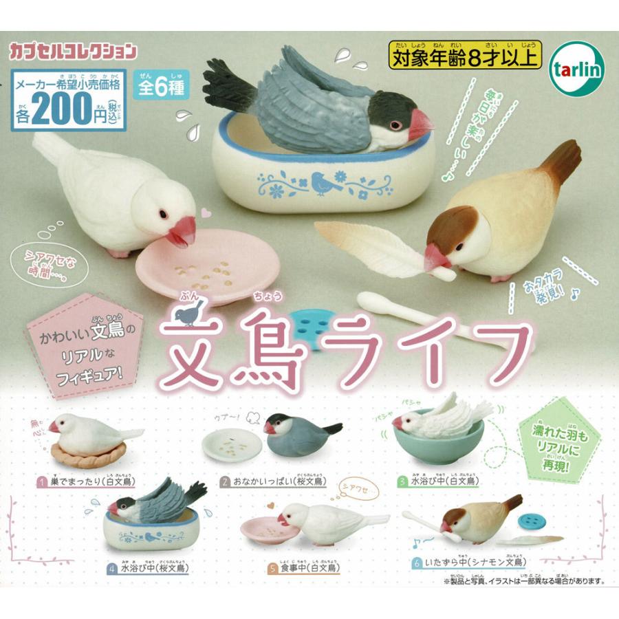 文鳥ライフ コンプリートセット カメズハウス 通販 Yahoo ショッピング