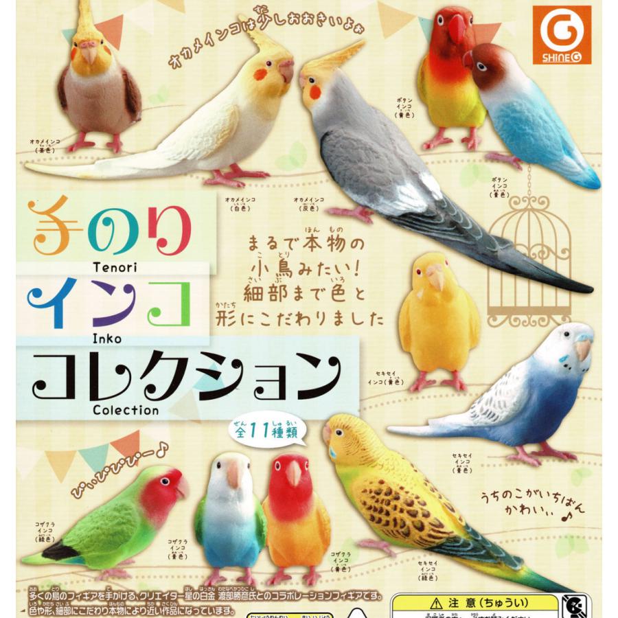 手のりインココレクション ボタンインコセット 定形外 対応 02 カメズハウス 通販 Yahoo ショッピング