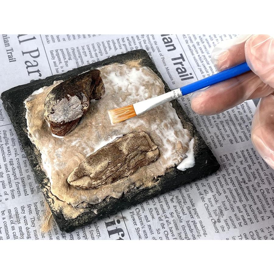 DO-1002  砂漠キット　［ジオラマ制作キット DIORAMA ONE〕：セガワモデリング |  | 02