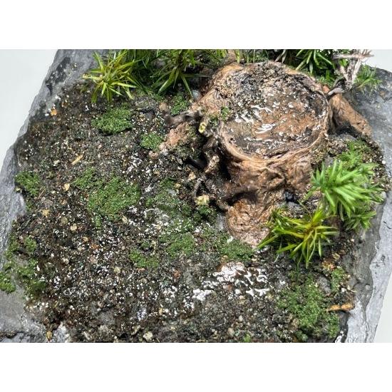 DO-1011 湿原キット　［ジオラマ制作キット DIORAMA ONE〕：セガワモデリング |  | 01