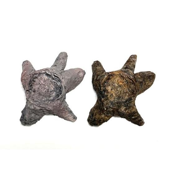 DO-1011 湿原キット　［ジオラマ制作キット DIORAMA ONE〕：セガワモデリング |  | 06