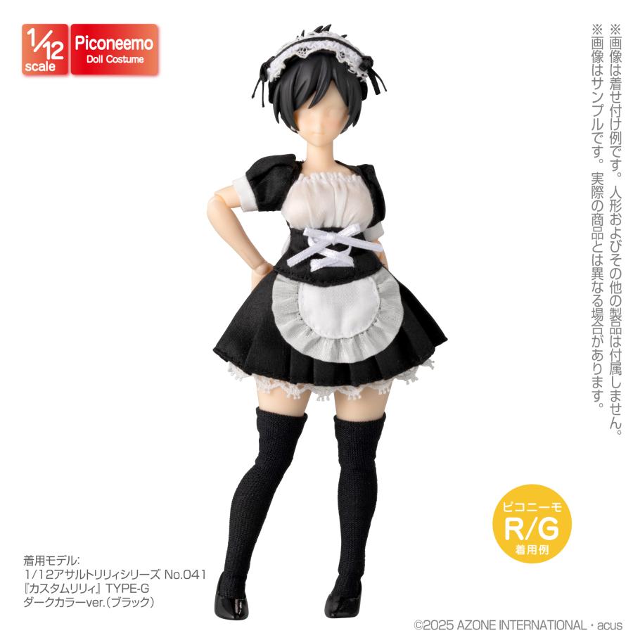 アゾンインターナショナル アゾン 1／12 ピコニーモR TYPE−G用