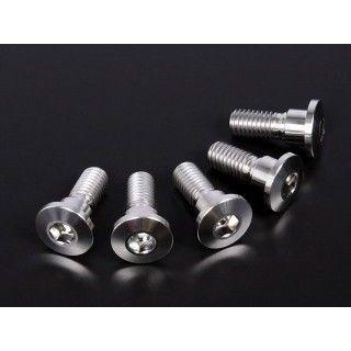 ZETA ジータ チタン ブレーキディスクボルト 極低頭 φ10-M8×22（5本