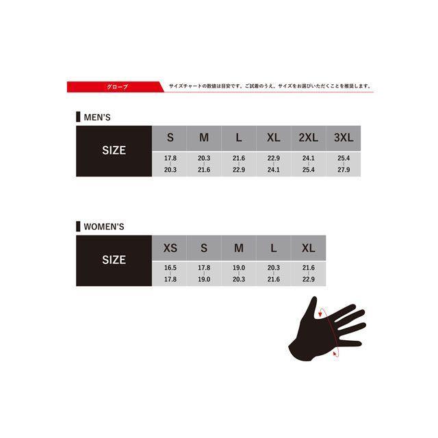 アルパインスターズ（alpinestars） GP PRO R3 GLOVE（10 BLACK