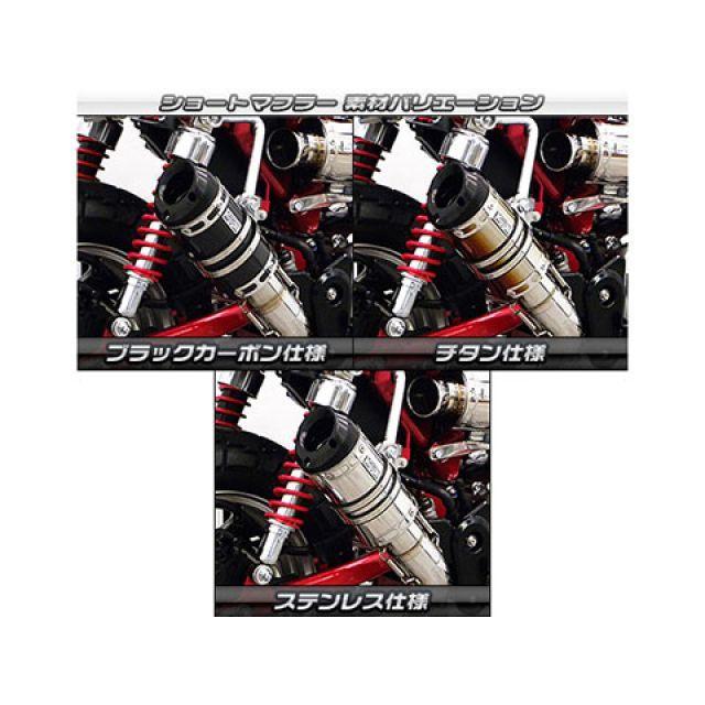 WirusWin（ウイルズウィン） モンキー125 モンキー125（2BJ-JB02）用 