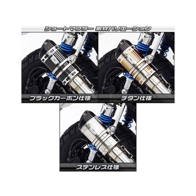 WirusWin（ウイルズウィン） モンキー125 モンキー125（8BJ-JB03）用