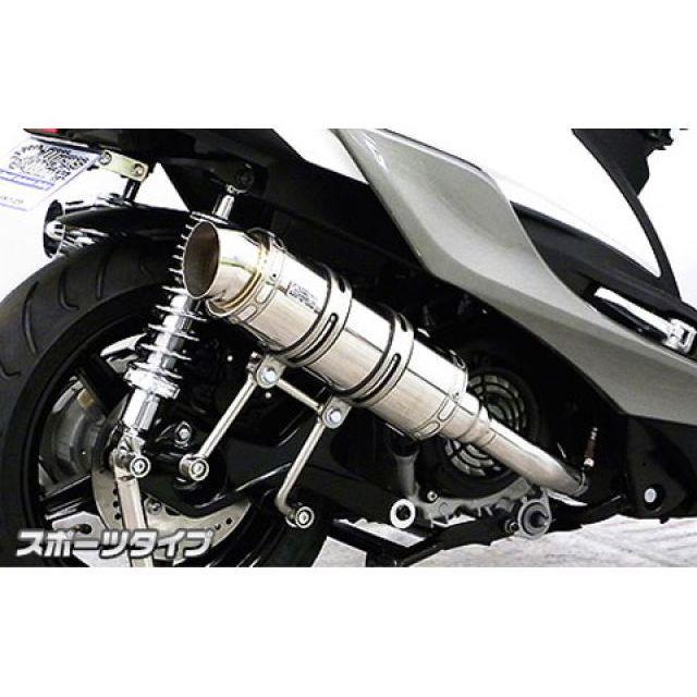 WirusWin（ウイルズウィン） シグナスX（5型） シグナスX（5型）用