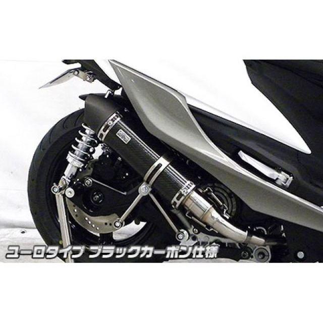 WirusWin ウイルズウィン シグナスX（5型） シグナスX（5型）用