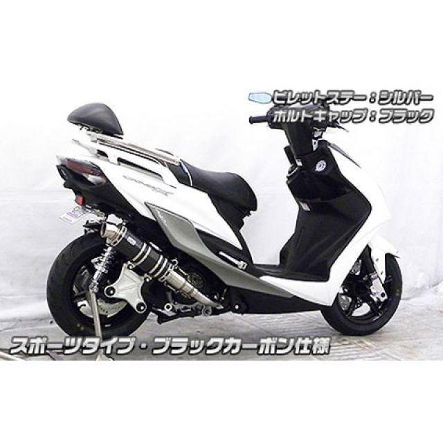 WirusWin（ウイルズウィン） シグナスX（5型） シグナスX（5型）用