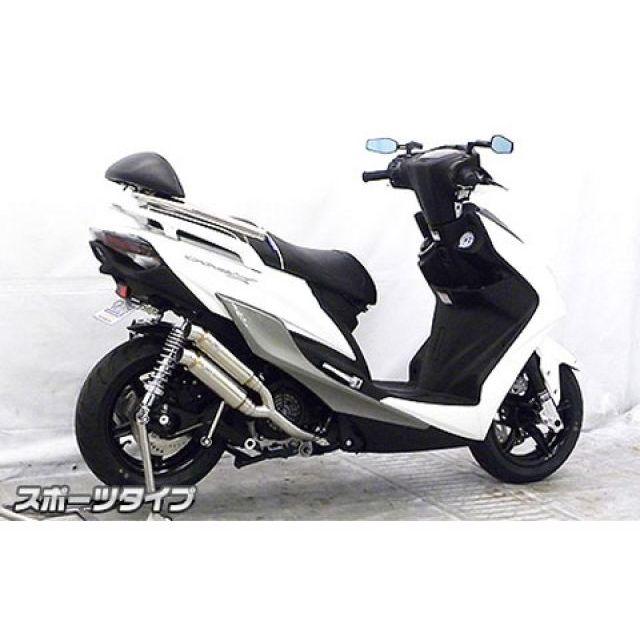 WirusWin（ウイルズウィン） シグナスX（5型） シグナスX（5型）用