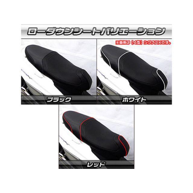 WirusWin（ウイルズウィン） シグナスX（5型） シグナスX（5型）用