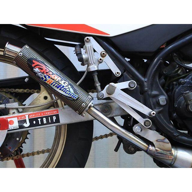 T2レーシング RZ250R 大阪SAM-R×T2-RコラボRZ250R用チタン左右出し