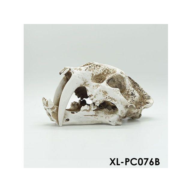 シルバーアクセ アルファテック XL-PC076B 骨格/化石（中）恐竜 水槽 ケージ 飼育