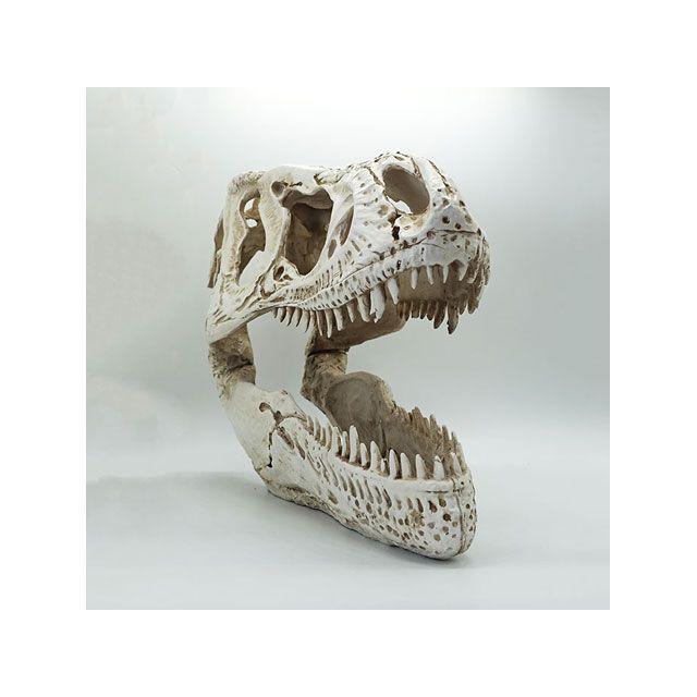 ティラノサウルスT -REX 歯化石赤ちゃん