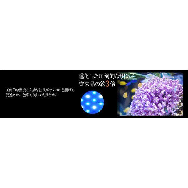 ゼンスイ ナノレビル450（ブルーホワイト） zensui : モトメガネYahoo