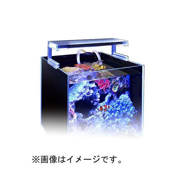 ゼンスイ ナノレビル450 ブルーホワイト ゼンスイ ナノレビル450（ブルーホワイト） zensui : モトメガネYahoo