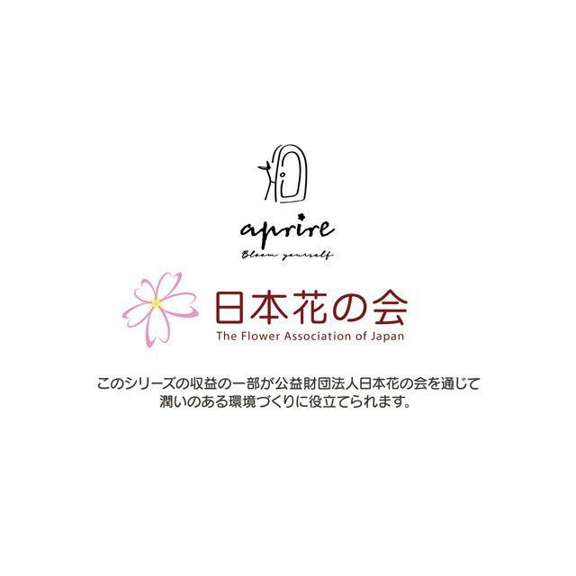 CAPTAIN STAG（キャプテンスタッグ） アプリール ポップアップテント