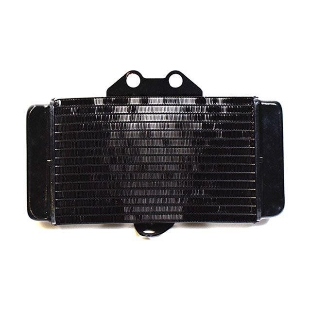 【専用、バイカラー金具なし】 エートップ VTR250 MC33 98〜07 ラジエーター 補修用 社外品 水温