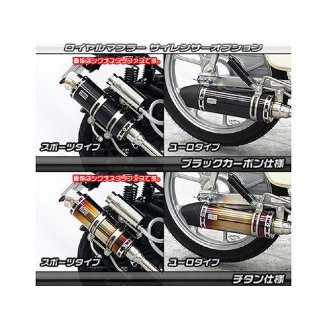 WirusWin（ウイルズウィン） スーパーカブ110 スーパーカブ110プロ 