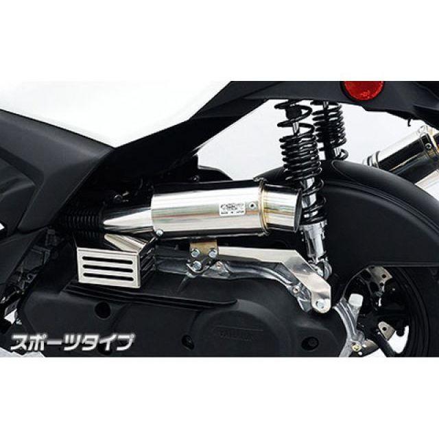 ウイルズウィン シグナス グリファス シグナス グリファス用 サイレンサー型 エアクリーナーキット スポーツタイプ WirusWin_1