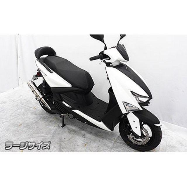 専用ページ 55点 ワールドウォーク Dio110 リアボックス装着用アタッチメント WW