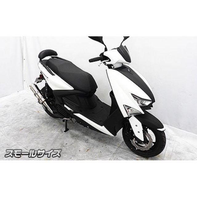 ウイルズウィン シグナス グリファス シグナス グリファス用 バックレストキット スモールサイズ WirusWin_2