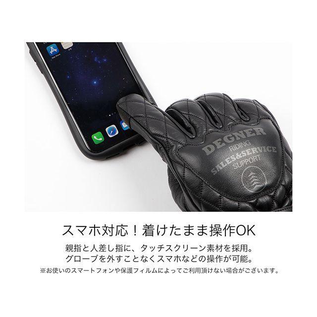 DEGNER デグナー 2022-2023秋冬モデル WG-46 レザーグローブ（ブラウン