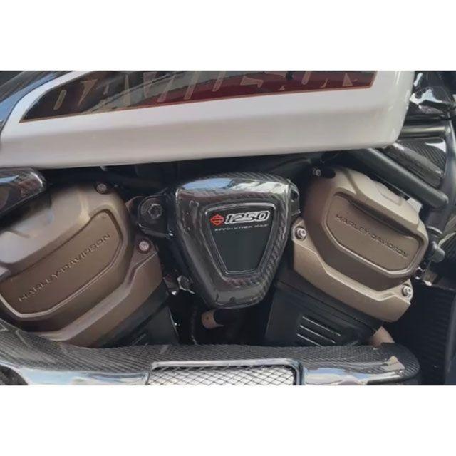 EASY  -60 ＋専用カバー モーターステージ スポーツスターS ドライカーボン 1250カバー MOTOR