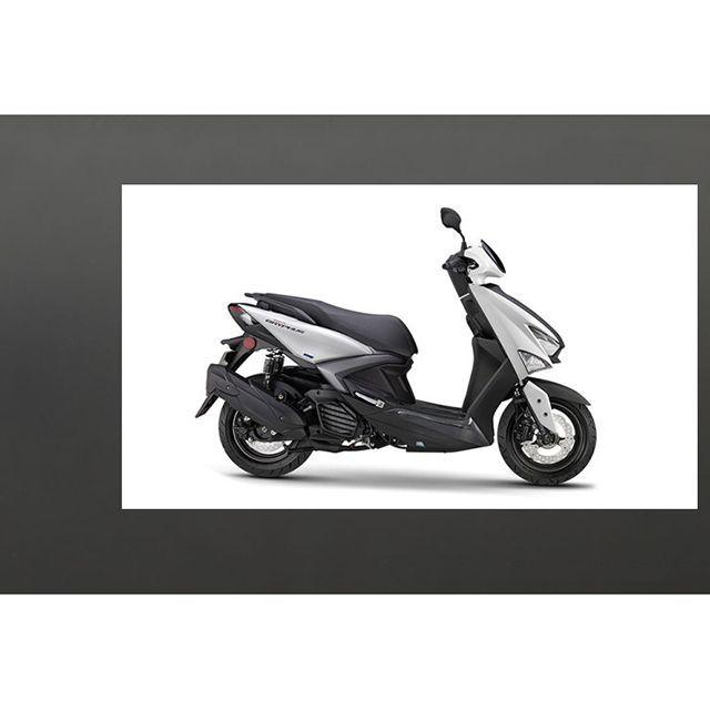 モトオブスポーツ シグナス GRYPHUS 6型 カーボンサイドカバー