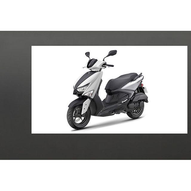 モトオブスポーツ シグナス GRYPHUS 6型 カーボンサイドカバー