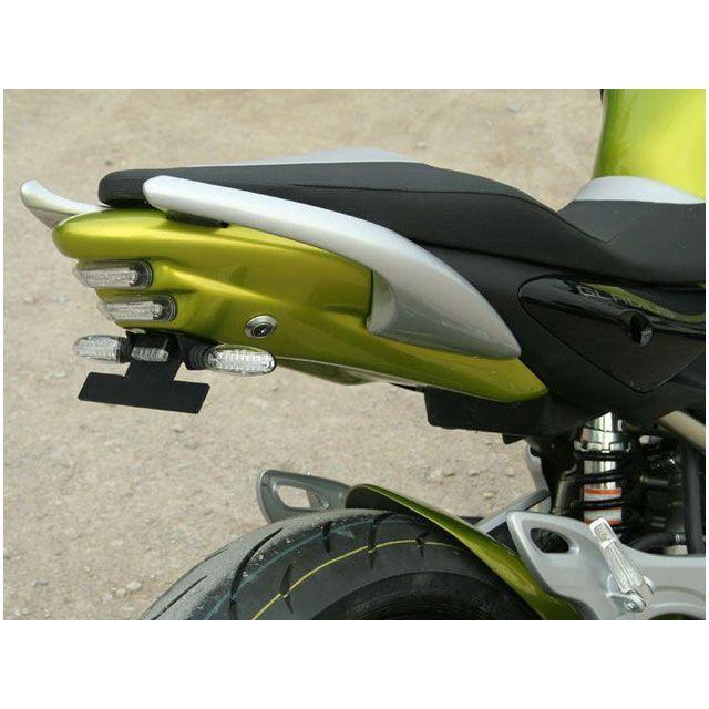 専用商品 S2コンセプト GLADIUS バックカバー（テールフェアリング） LEDライト
