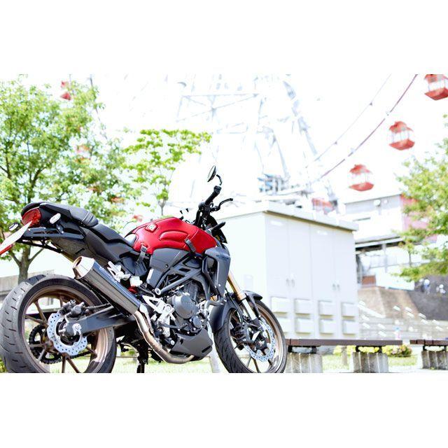 BAGSTER（バグスター） CB300/250R タンクカバー（マットグレー/ダーク
