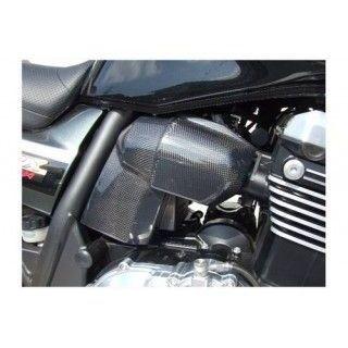 才谷屋ファクトリー ZRX1200 DAEG インジェクターカバー 仕様 カーボン 