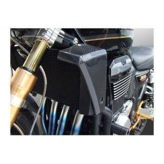才谷屋ファクトリー ZRX1200 DAEG ラジエターシュラウド 仕様 黒ゲル