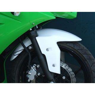 CLEVER WOLF（クレバーウルフ） Ninja250 Ninja250R フロント