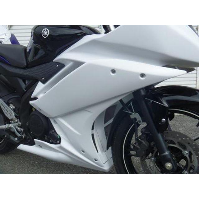 才谷屋ファクトリー YZF-R15 センターカウル/レース/白ゲル 仕様 ビス