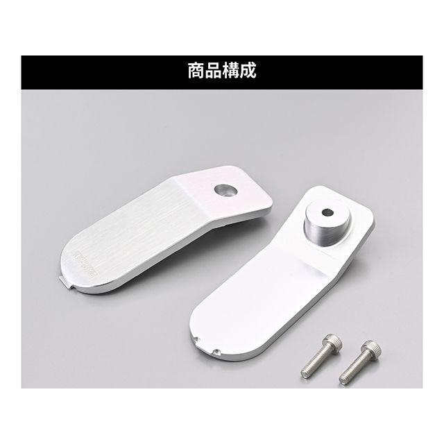 DAYTONA（デイトナ） オプションデザインパネル（シルバー