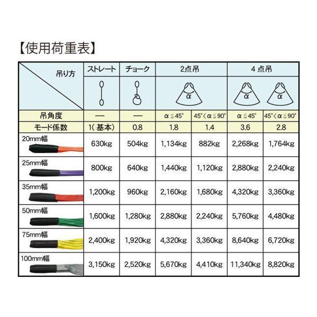FREAK フリーク CEベルトスリングE型 使用荷重2400kg 幅75mm 長さ5m