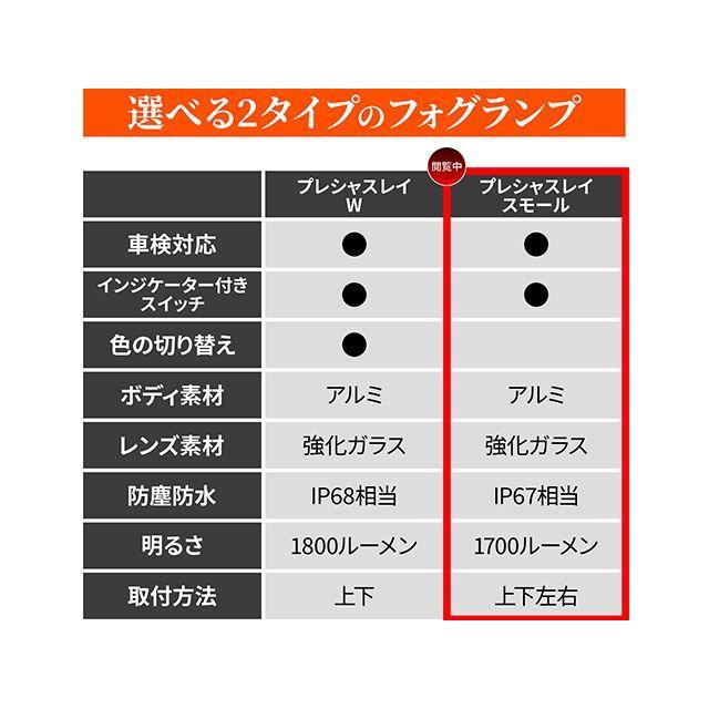 デイトナ プレシャスレイLED FOGランプ スモール DAYTONA_2