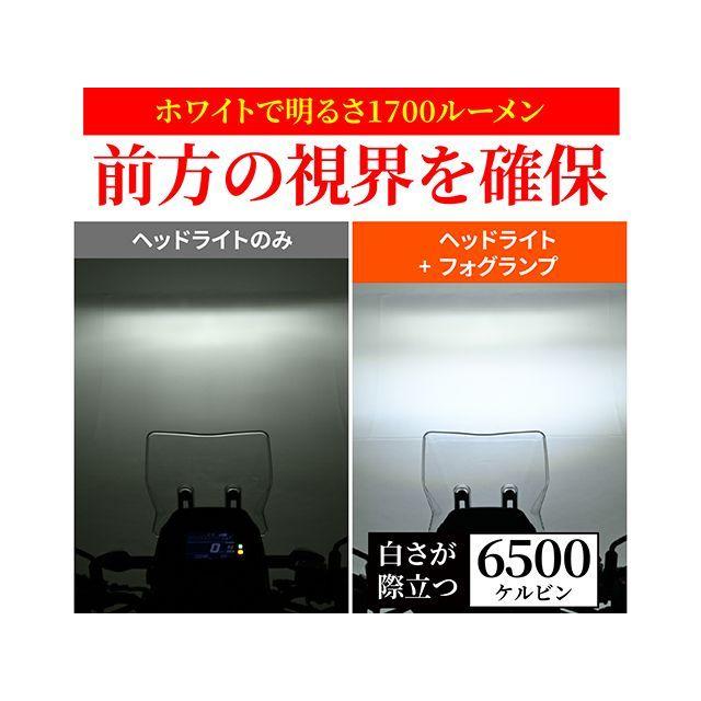 デイトナ プレシャスレイLED FOGランプ スモール DAYTONA_3