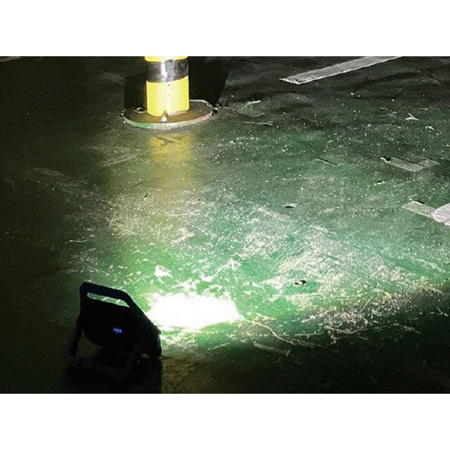 SIGNET シグネット 96119 10W LEDハイパワー充電LED投光器 バイク 車