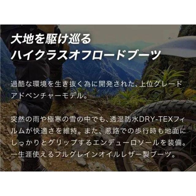 FORMA フォーマ TERRA EVO LOW（ブラック） サイズ 43/27.0cm