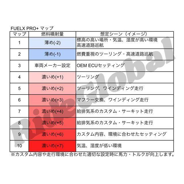 Race Dynamics G310R/G310GS FUELX PRO＋ : モトメガネYahoo!店 - 通販