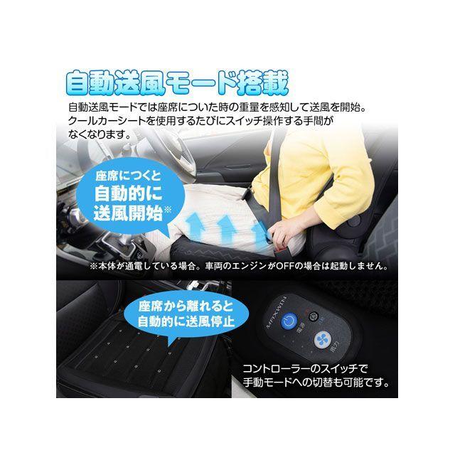 MAXWIN（マックスウィン） 送風クッション : モトメガネYahoo!店