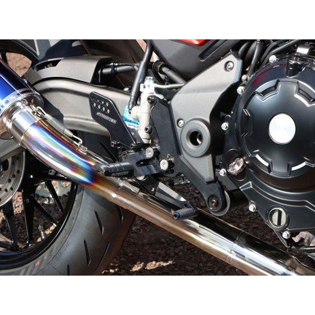STRIKER（ストライカー） Z650RS スポーツツーリングコンセプト（STC