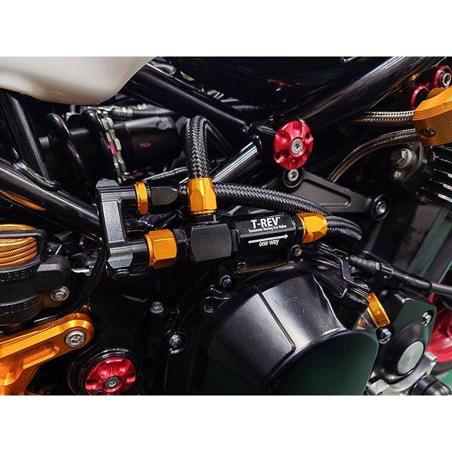 テラモト Z900RS T-REVαシステムSP SPECIAL EDITION TERAMOTO
